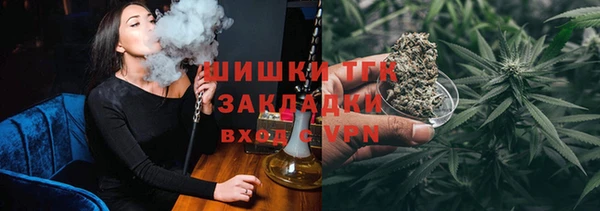 индика Лагань