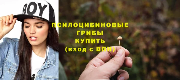каннабис Лабытнанги