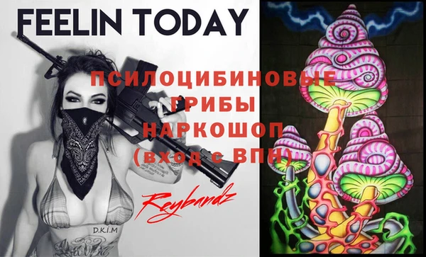 индика Лагань