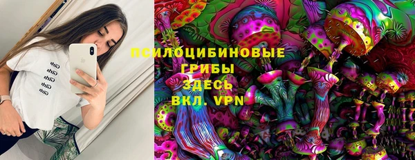 СК Ладушкин
