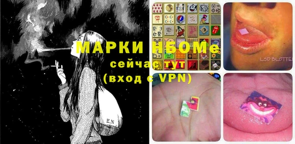 индика Лагань