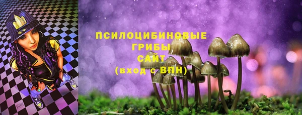 СК Ладушкин