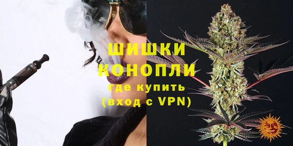 индика Лагань