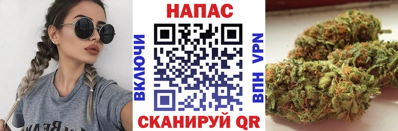 как найти Таруса Бошки Шишки планчик